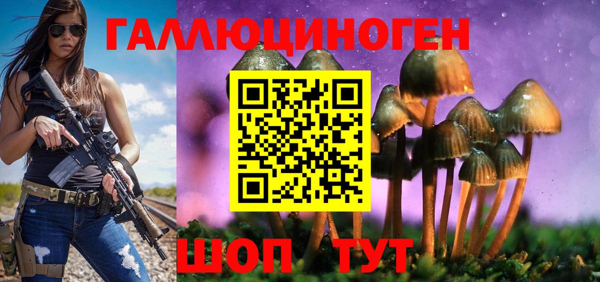 Галлюциногенные грибы Psilocybine cubensis  Галлюциногенные грибы прущие грибы  Ногинск  Вход с VPN 